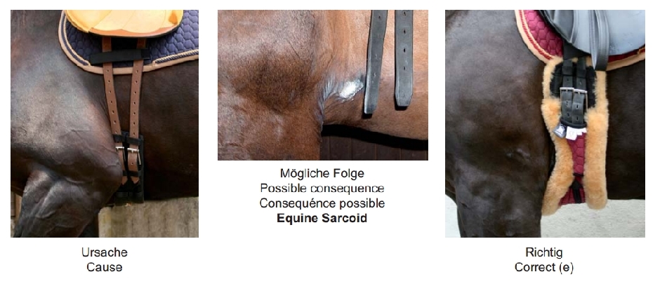 mattes_kouluvyo_crescent3