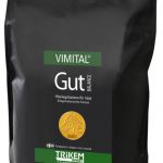 Vimital Gut Balance