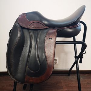 WOW Dressage