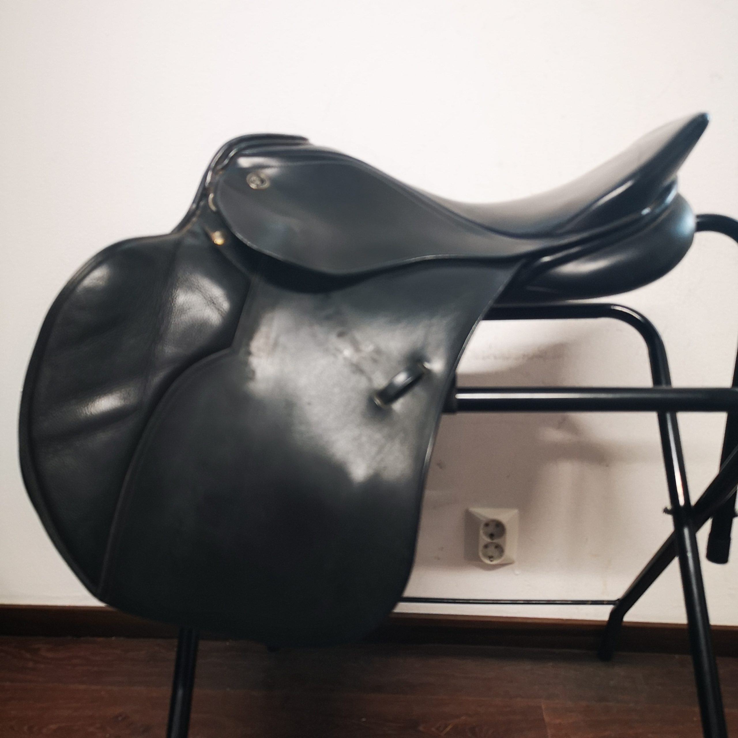 Kieffer Donau (Kopio)