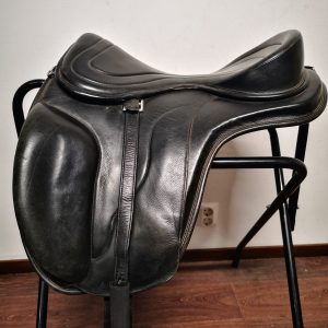 Freeform Dressage