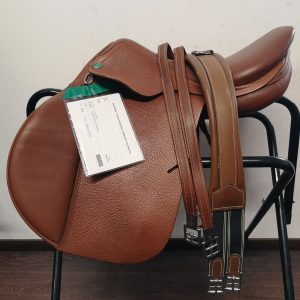 Appaloosa (Prestige) Golden Star