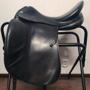 Appaloosa (Prestige) Top Dressage