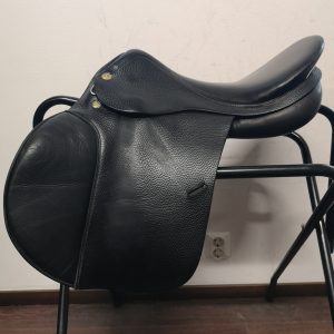 Appaloosa (Prestige) Green Star