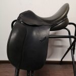 Busse Corto