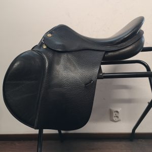 Appaloosa (Prestige) Green Star