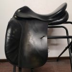 Prestige Hippos Dressage